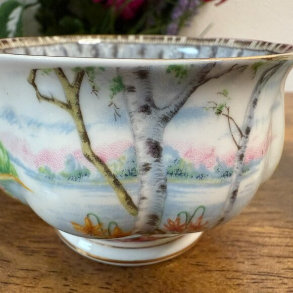 Royal Albert Silver Birch Creamer and Sugar Set – Bone China England Birch Tree - Picture 6 of 9